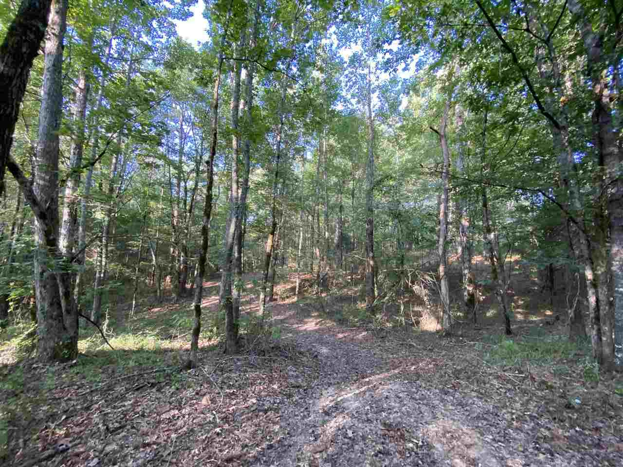959 Virgin Mary Road Camden, MS 39045 - Photo 27 of 40 Photo 27