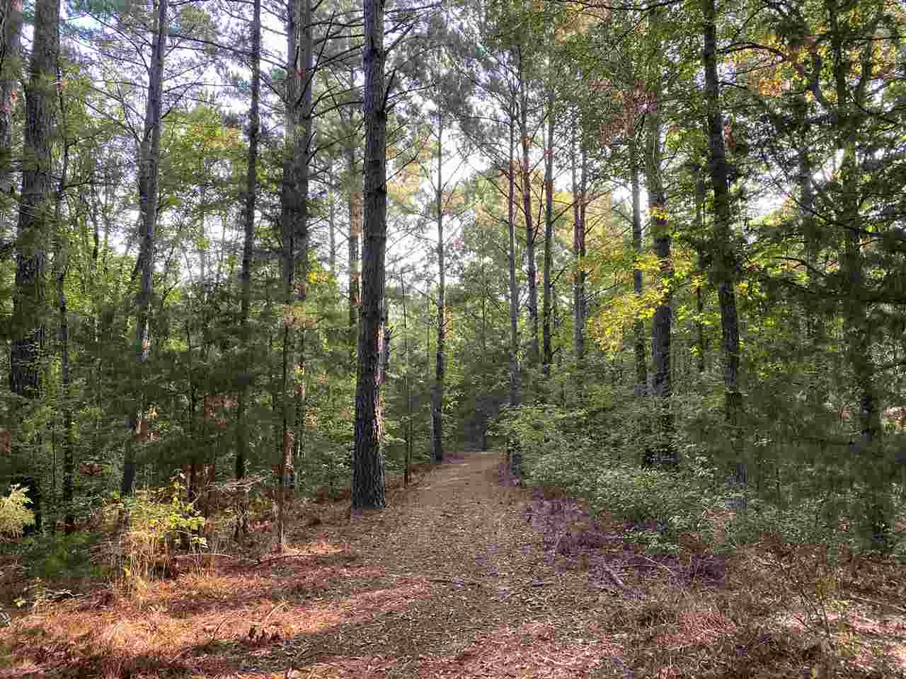 959 Virgin Mary Road Camden, MS 39045 - Photo 28 of 40 Photo 28