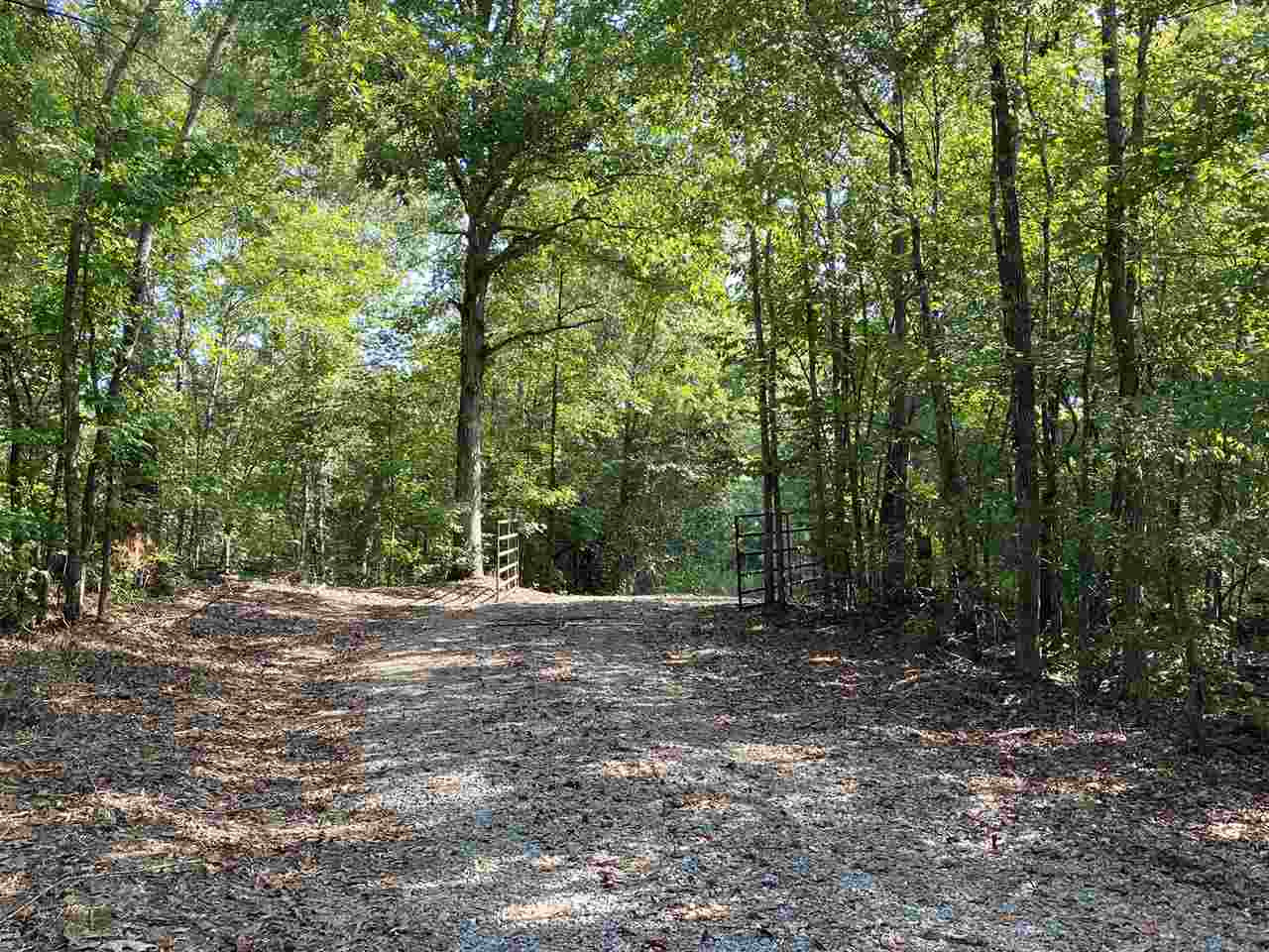 959 Virgin Mary Road Camden, MS 39045 - Photo 29 of 40 Photo 29