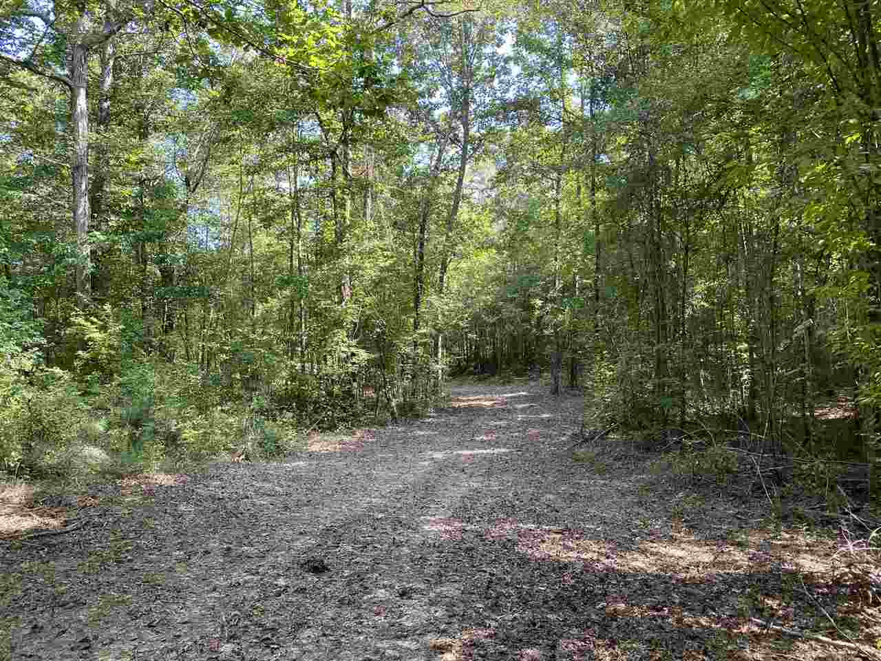 959 Virgin Mary Road Camden, MS 39045 - Photo 32 of 40 Photo 32