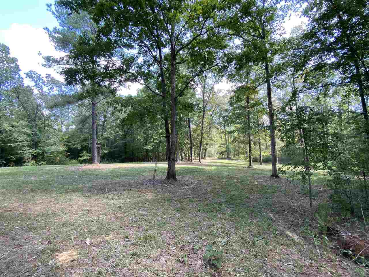 959 Virgin Mary Road Camden, MS 39045 - Photo 38 of 40 Photo 38