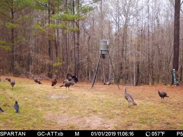 959 Virgin Mary Road Camden, MS 39045 - Photo 39 of 40 Photo 39