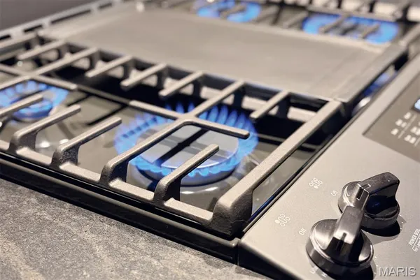 $3,950 | 2647 Locust Street, Unit 4F, St. Louis, MO 63103