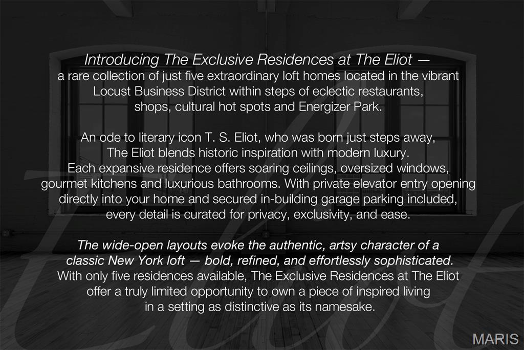 2647 Locust Street, Unit 4F St. Louis, MO 63103 - Photo 3 of 35