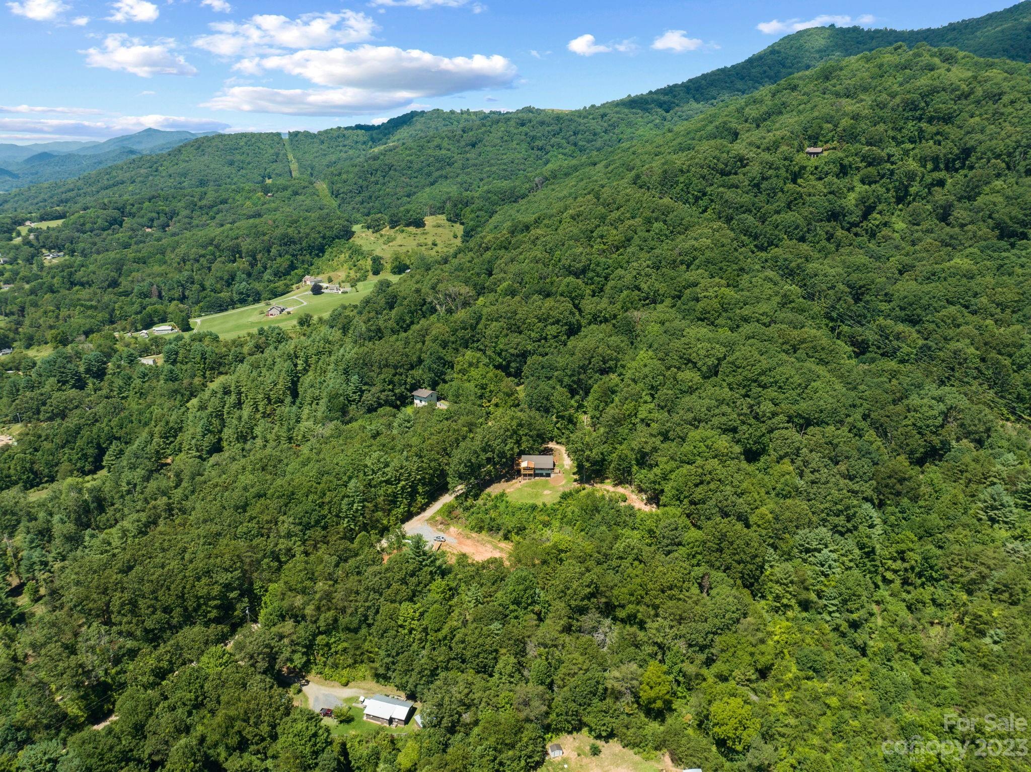 632 Thunder Road Clyde, NC 28721 - Photo 35 of 41 a view of a lush green forest with lots of trees