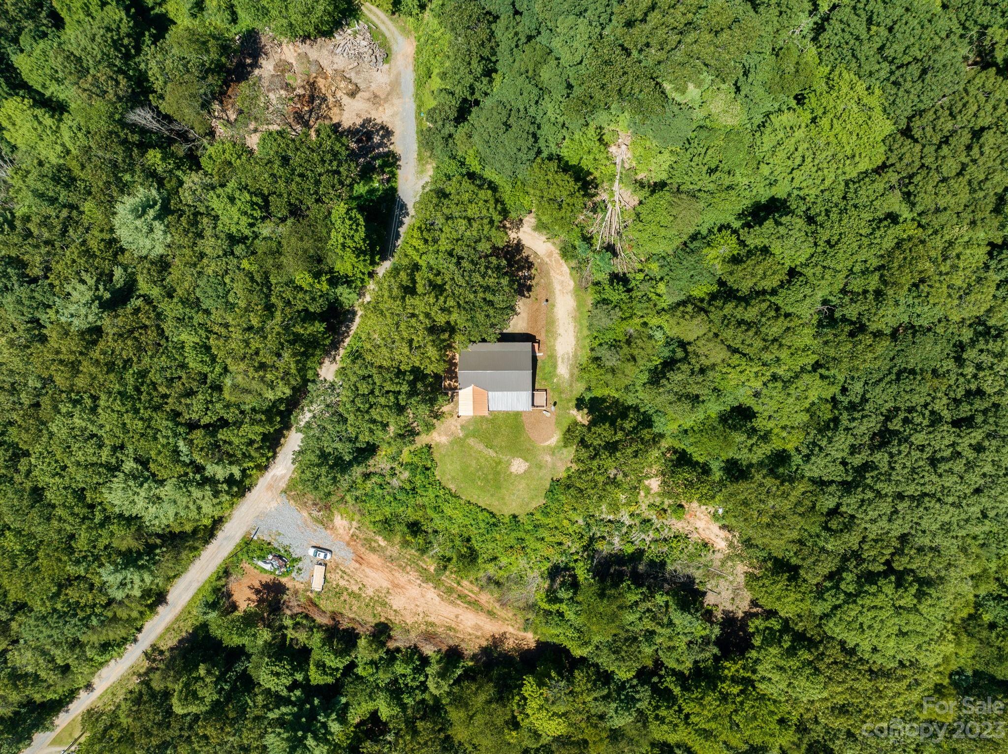 632 Thunder Road Clyde, NC 28721 - Photo 38 of 41 a plant with lots of trees