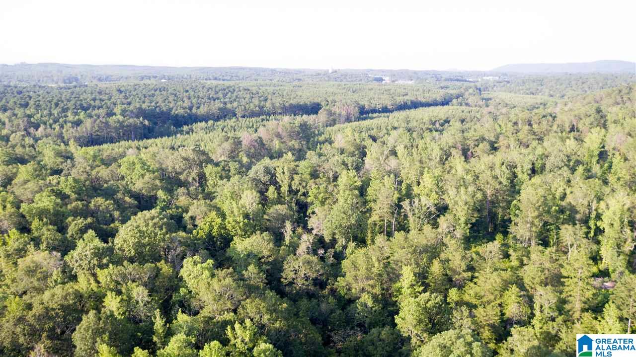 180 Gibson Road, Unit 76 / ACRES OFF GIBSON R Columbiana, AL 35051 - Photo 10 of 50