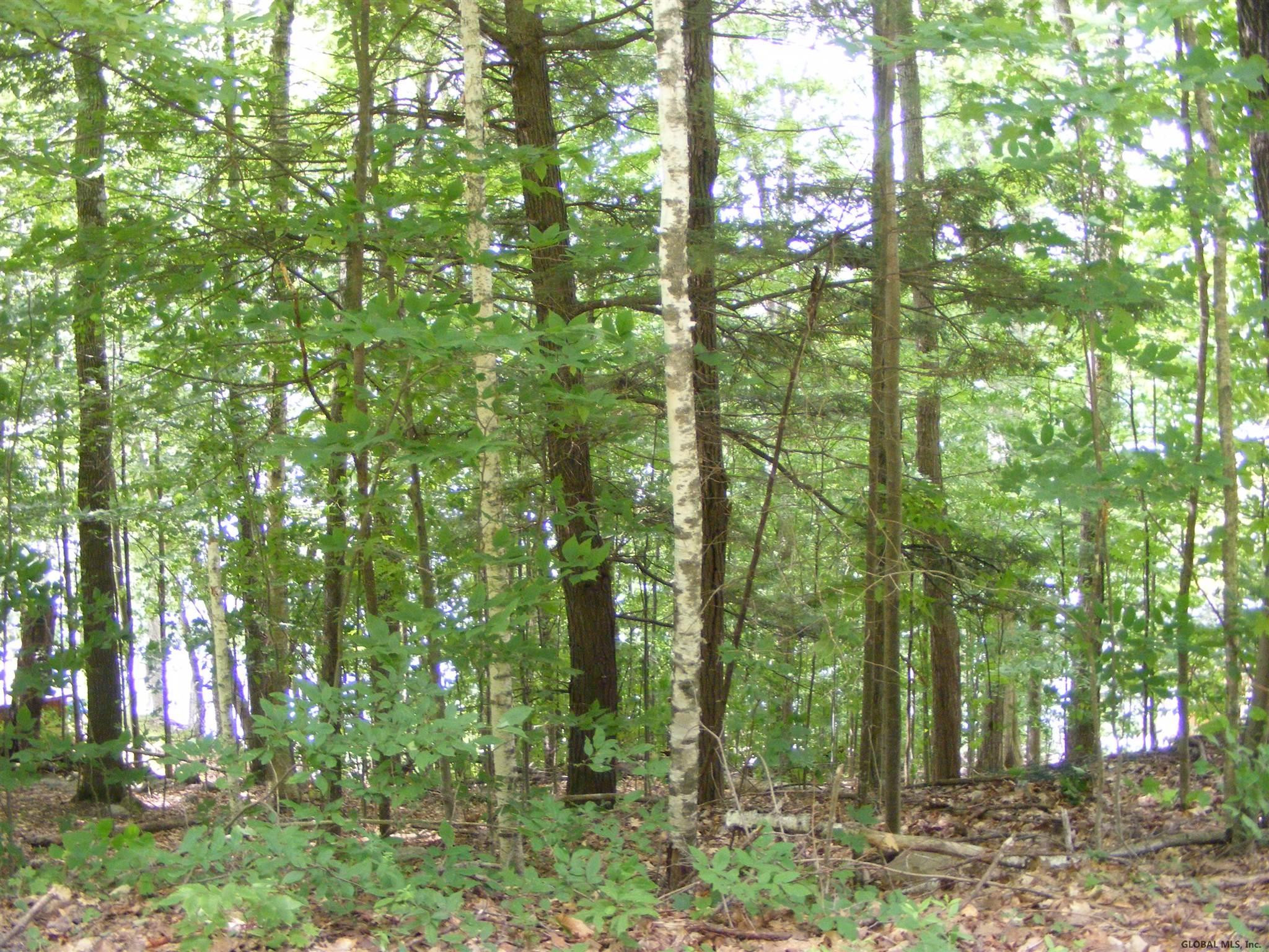 2154 South Shore Road Day, NY 12835 - Photo 1 of 13 Photo 1