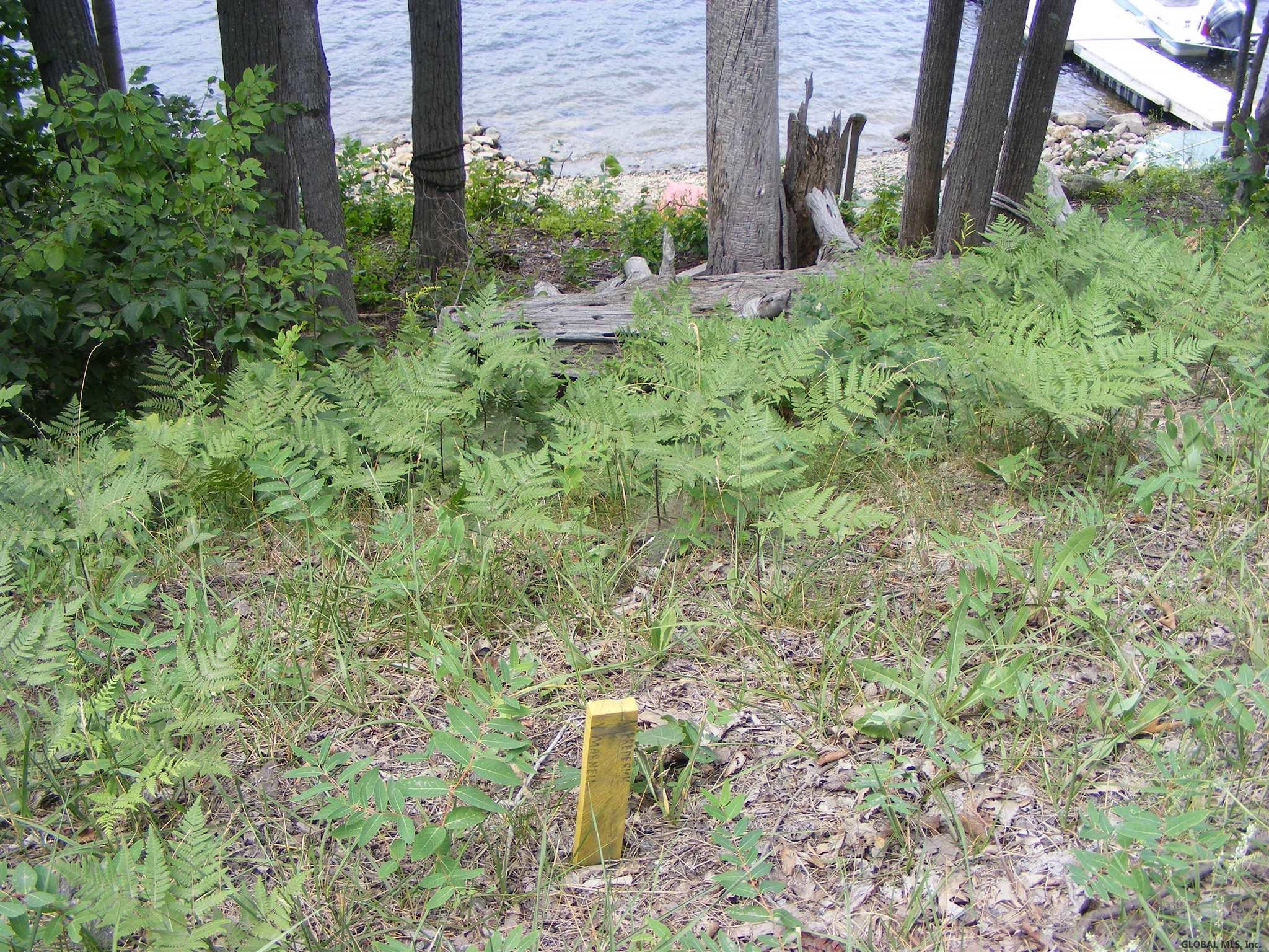 2154 South Shore Road Day, NY 12835 - Photo 13 of 13 Photo 13