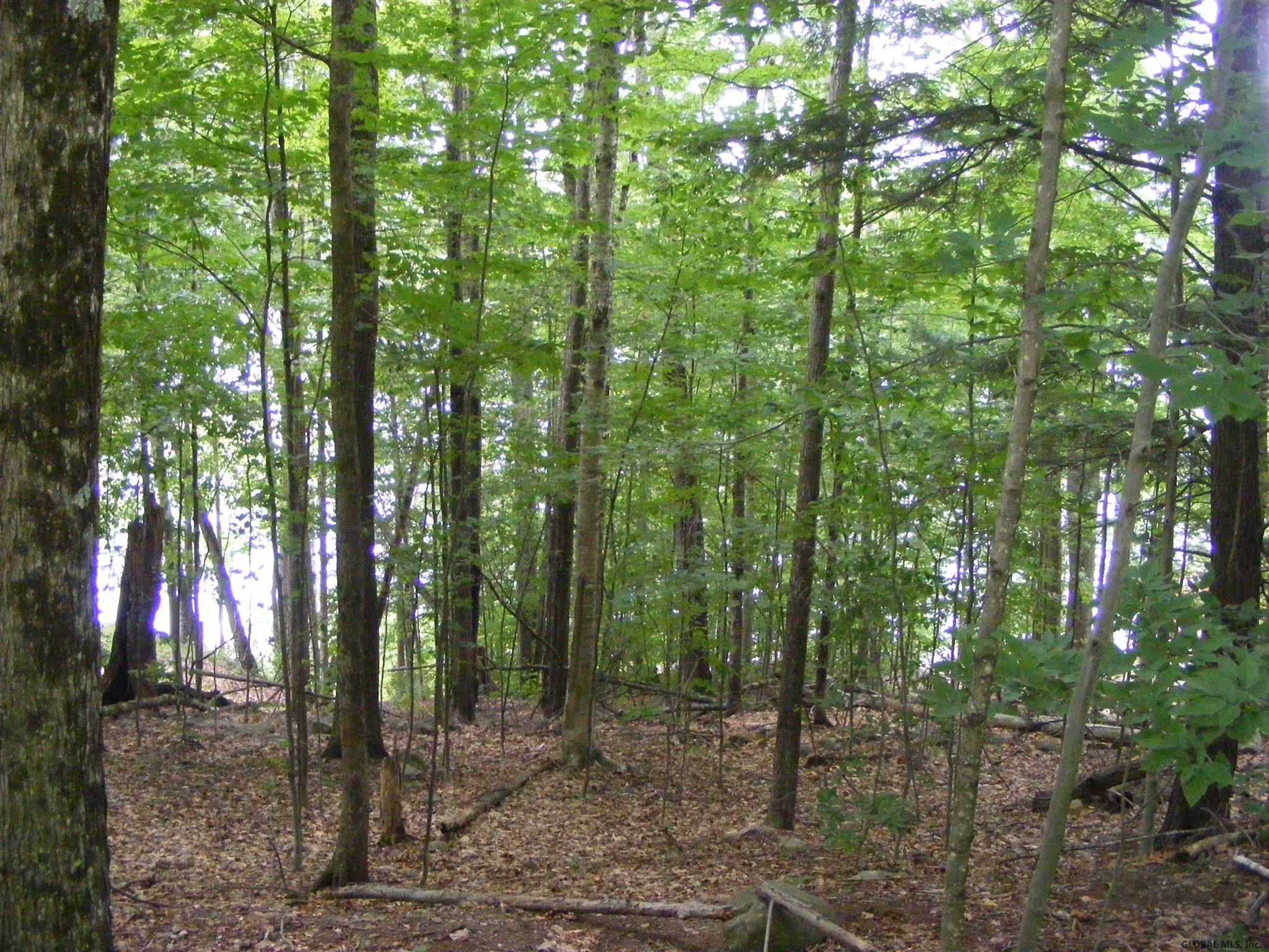 2154 South Shore Road Day, NY 12835 - Photo 2 of 13 Photo 2