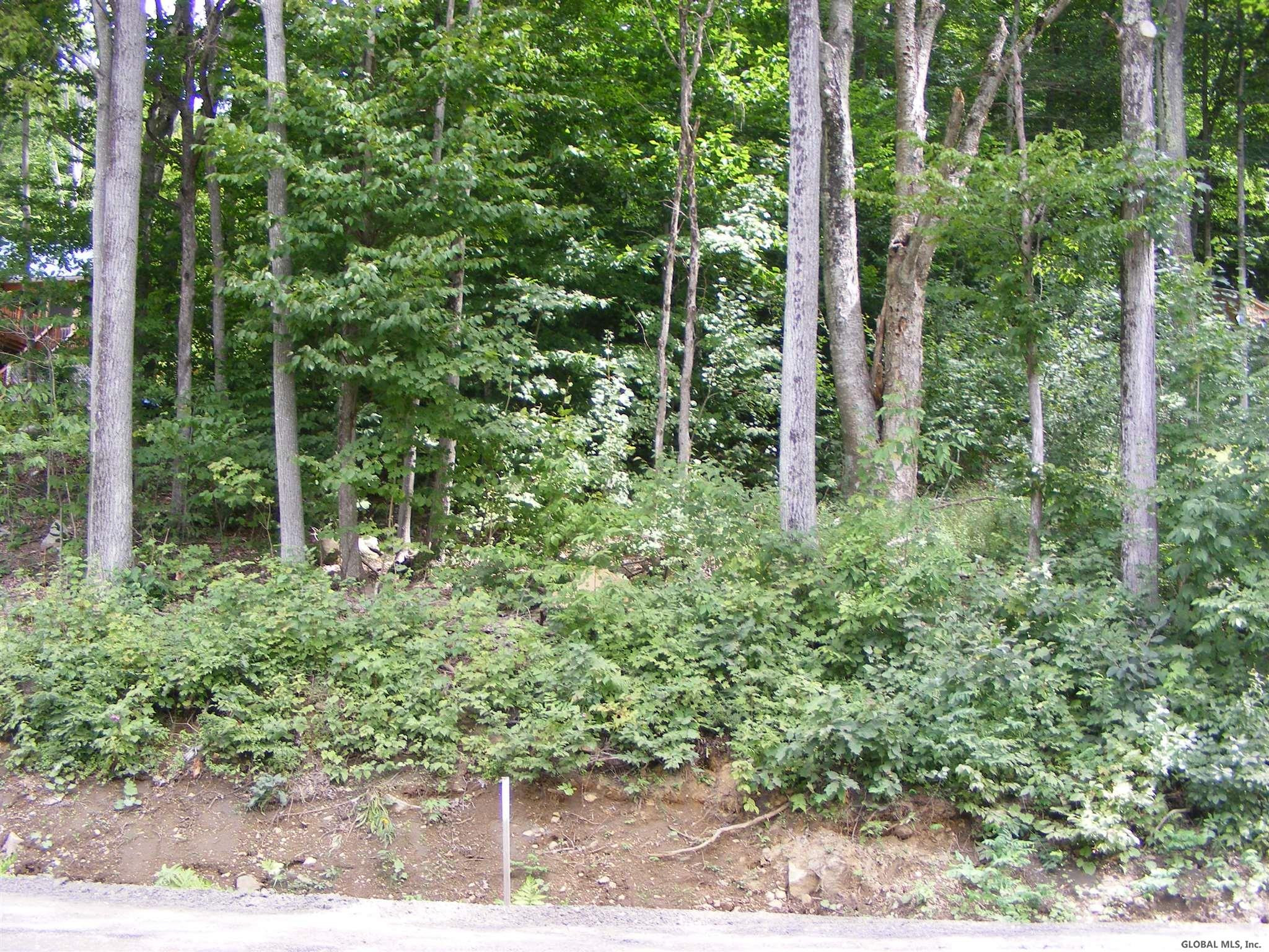 2154 South Shore Road Day, NY 12835 - Photo 5 of 13 Photo 5