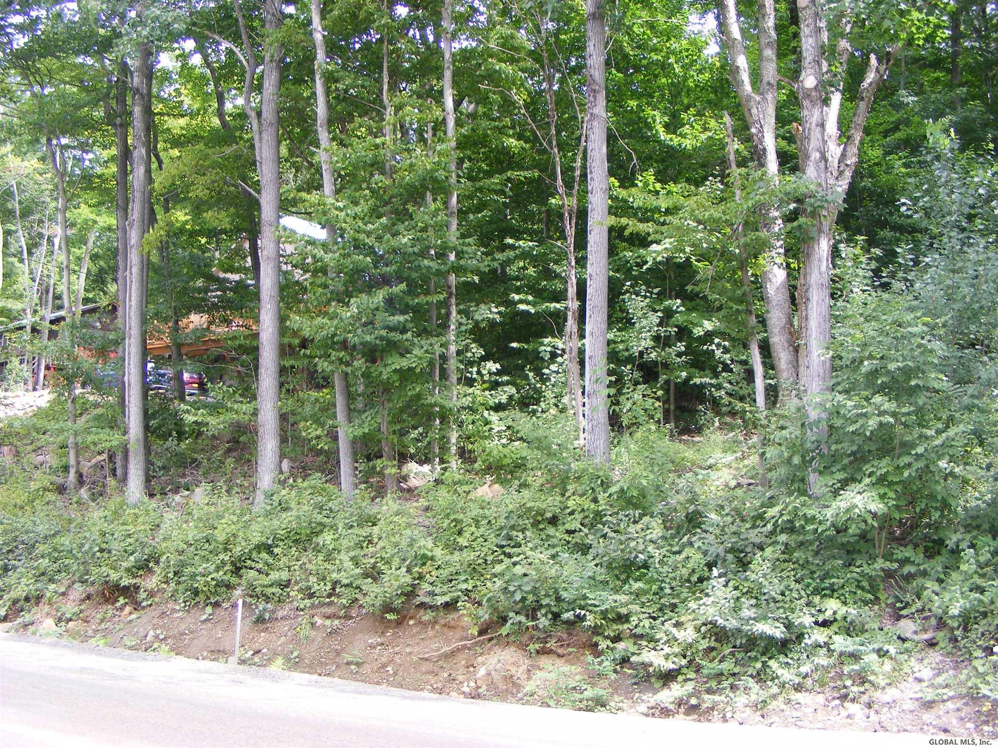 2154 South Shore Road Day, NY 12835 - Photo 6 of 13 Photo 6
