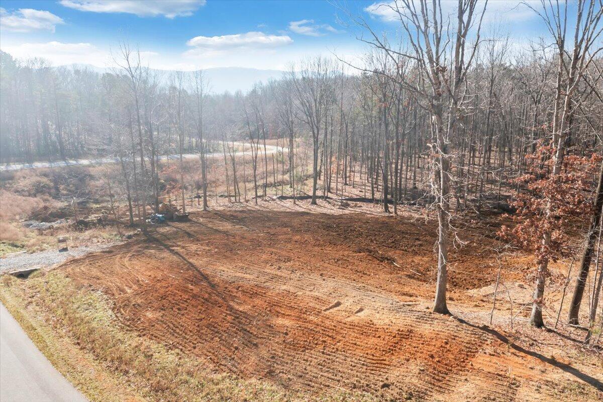 Lot 68 Glades End Road Blue Ridge, VA 24064 - Photo 11 of 12 11-DJI_0139