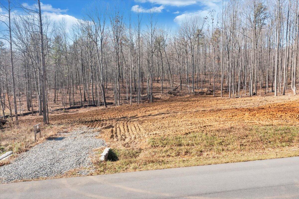 Lot 68 Glades End Road Blue Ridge, VA 24064 - Photo 12 of 12 12-DJI_0140