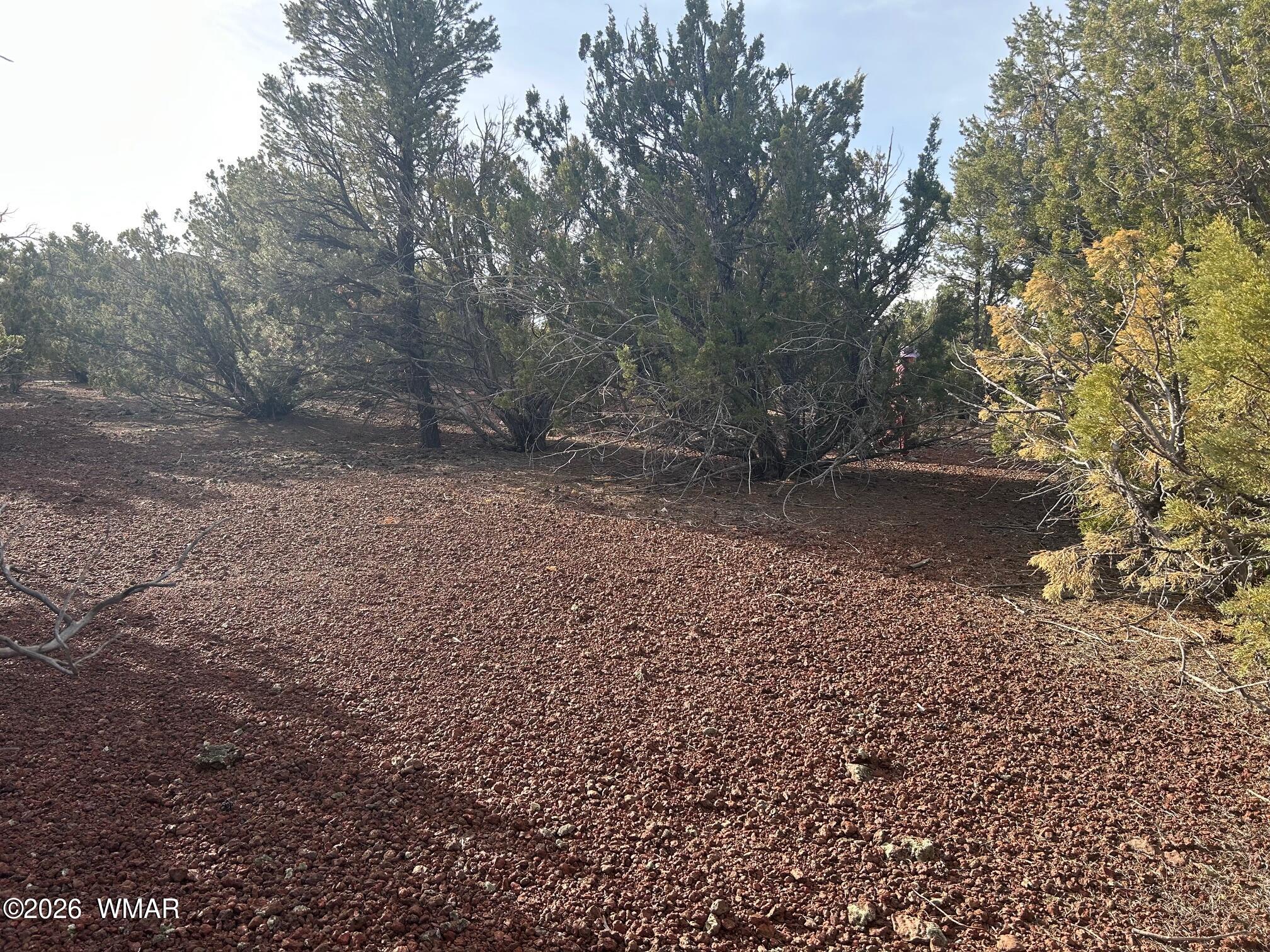 Lot 86 Ricks Road Concho, AZ 85924 - Photo 10 of 14 IMG_4336
