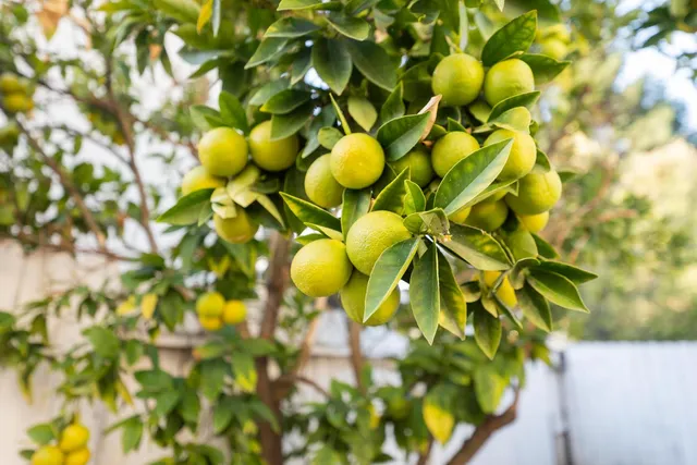 an aerial view of a house with swimming pool