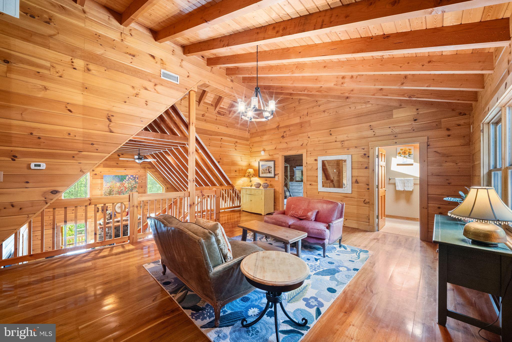 4020 Millwood Road Boyce, VA 22620 - Photo 50 of 132 Rich with architectural character.