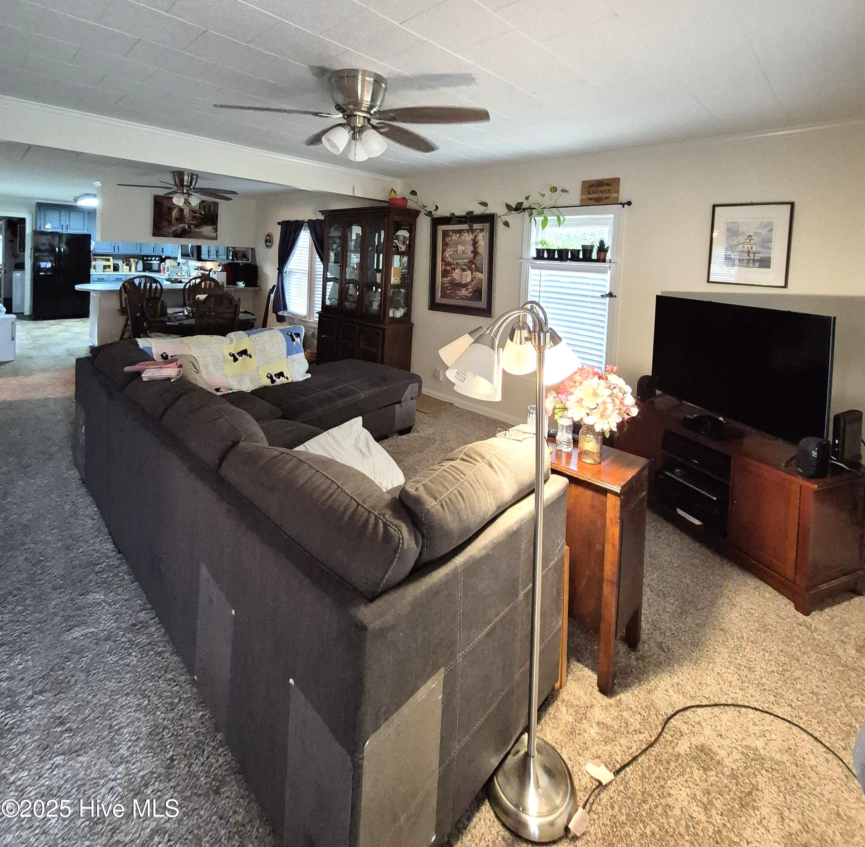 3031 Dan Peele Road Williamston, NC 27892 - Photo 3 of 26 Den