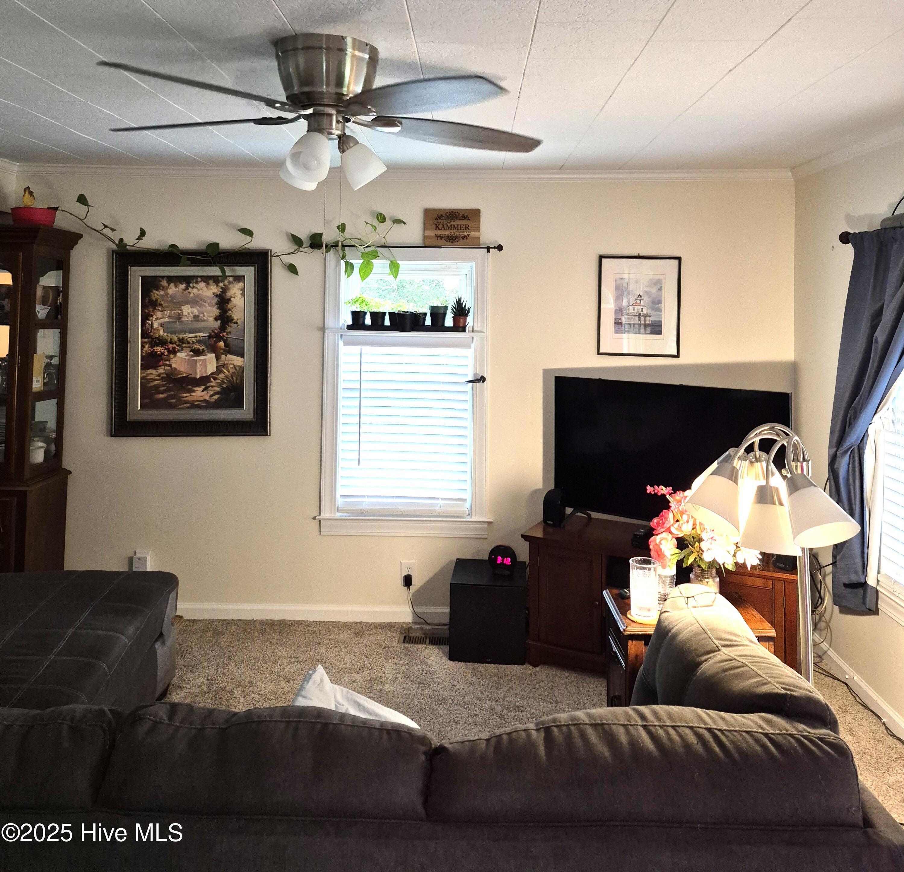 3031 Dan Peele Road Williamston, NC 27892 - Photo 4 of 26 Den