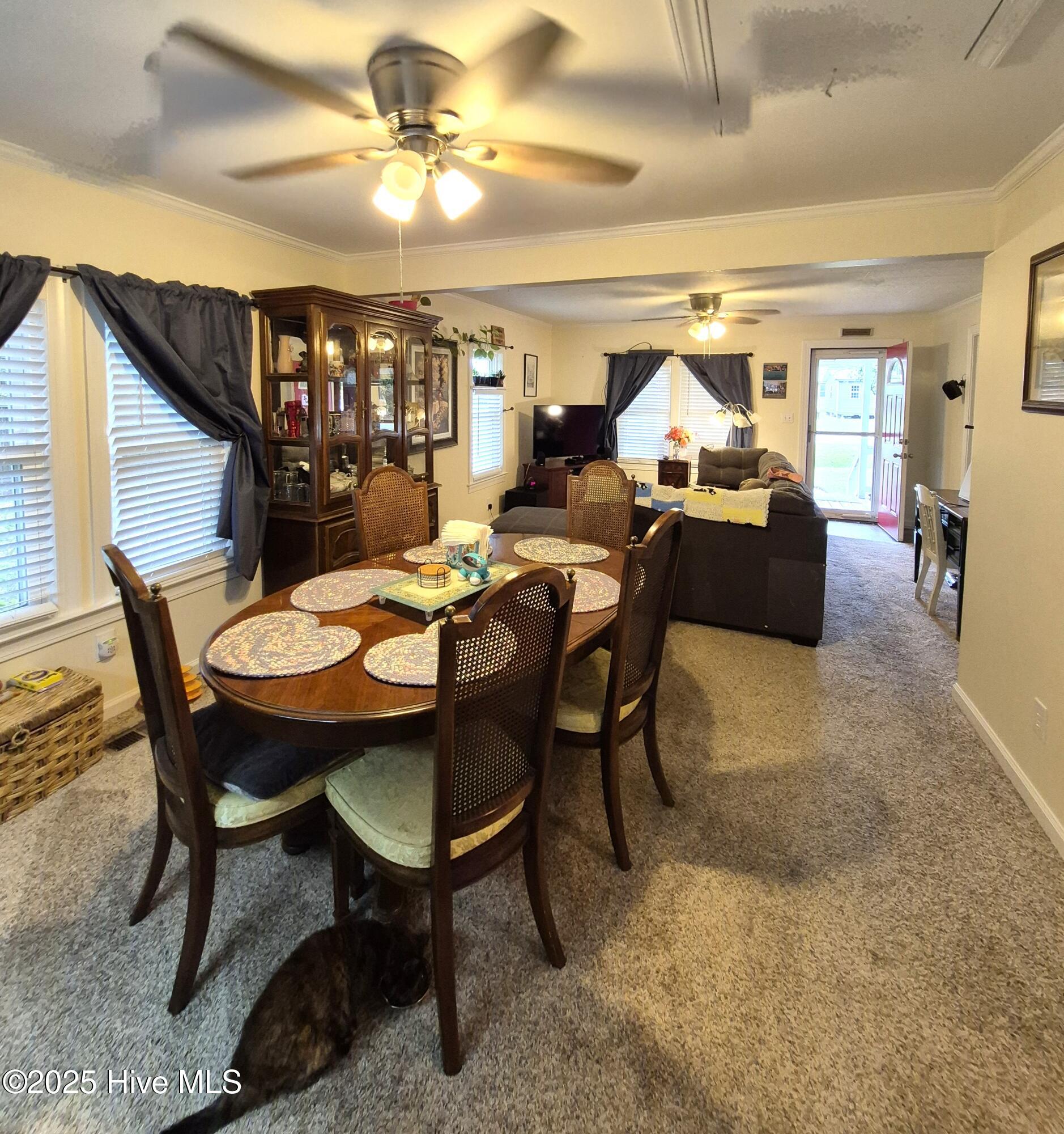 3031 Dan Peele Road Williamston, NC 27892 - Photo 6 of 26 Dining