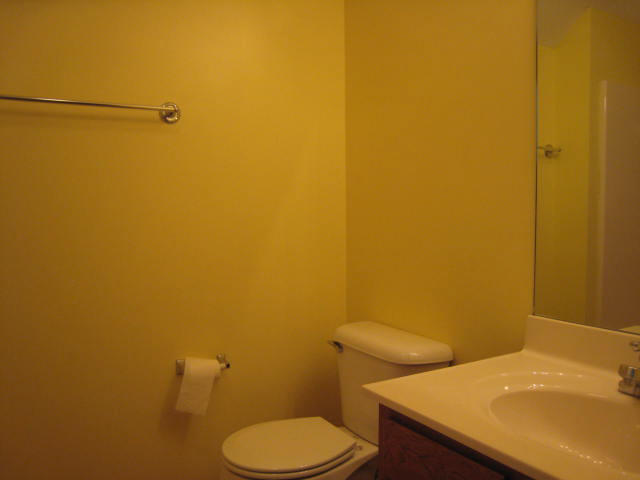 3208 Red Meadow Road Knoxville, TN 37931 - Photo 15 of 21 upstairs full bath