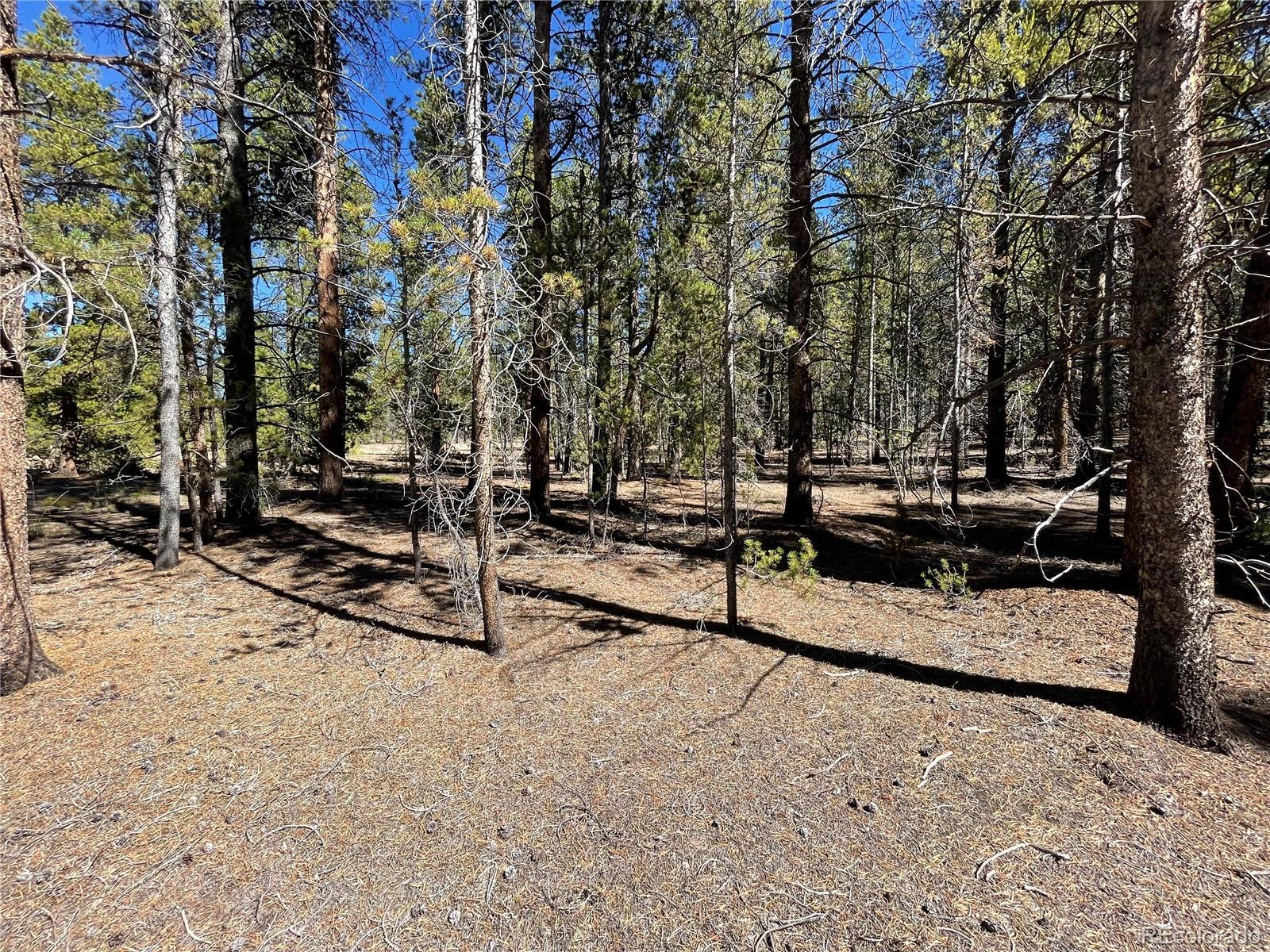 251 Virginia Avenue Leadville, CO 80461 - Photo 11 of 15 a view of a park with large trees