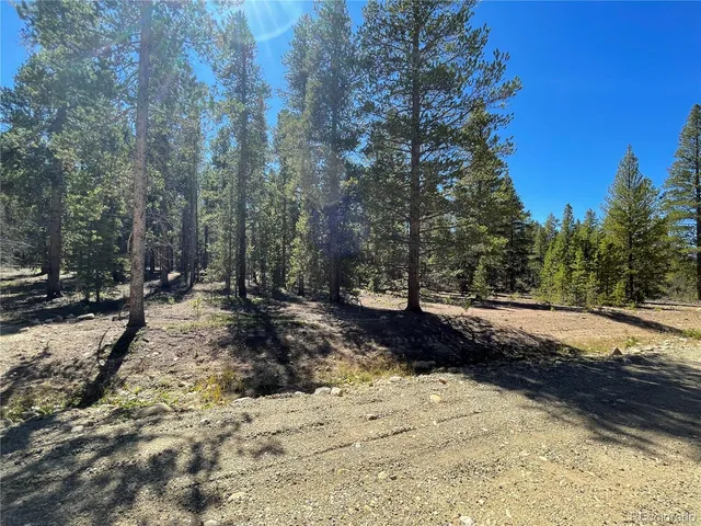 a view of dirt yard with a large tree