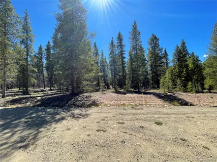 a view of a yard with trees in the background