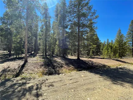 a view of dirt yard with a large tree