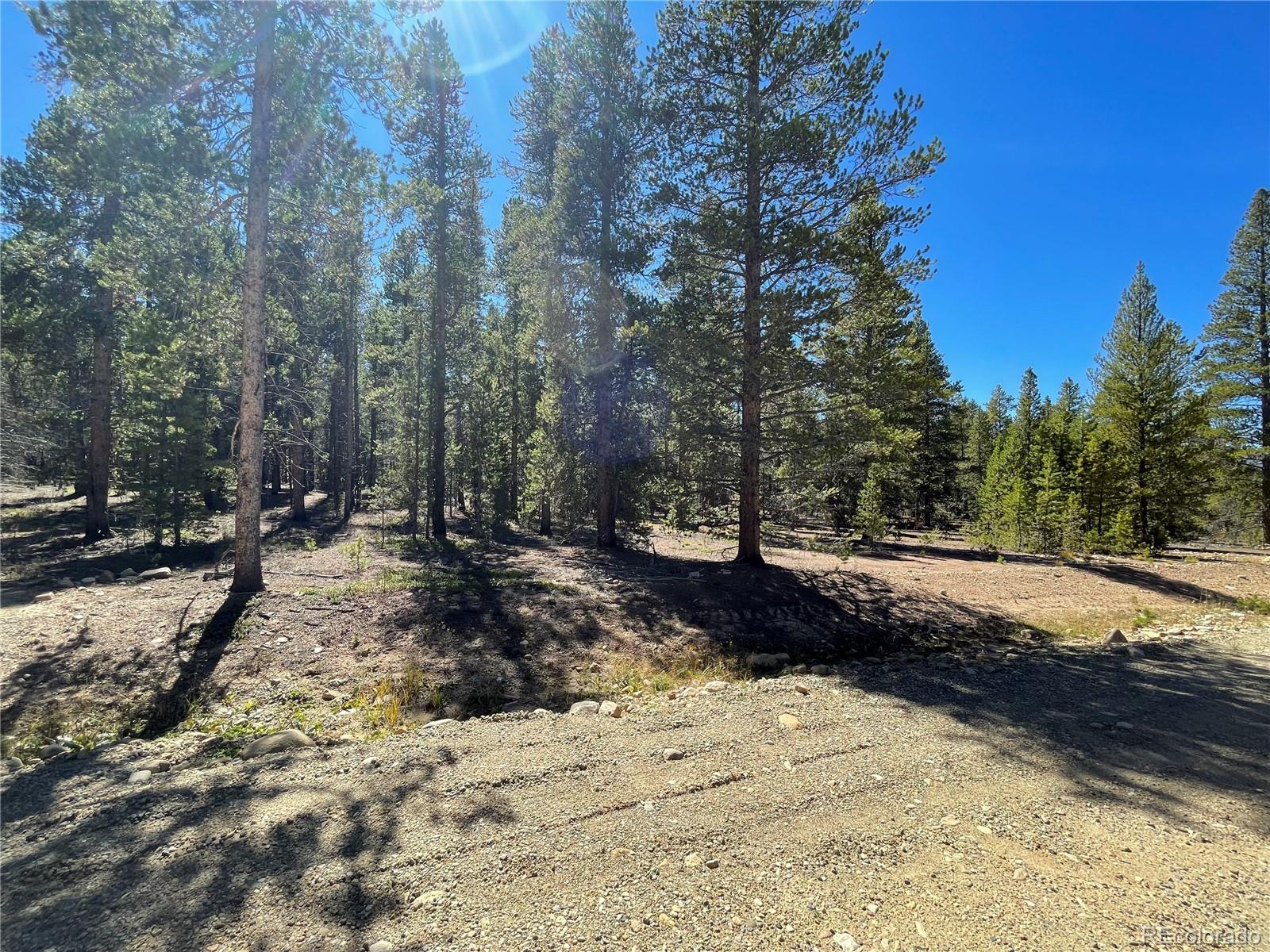 251 Virginia Avenue Leadville, CO 80461 - Photo 5 of 15 a view of dirt yard with a large tree