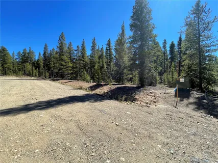 a view of a yard with trees