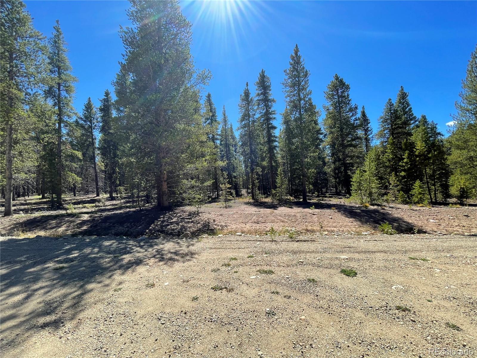 251 Virginia Avenue Leadville, CO 80461 - Photo 6 of 15 a view of a yard with trees in the background