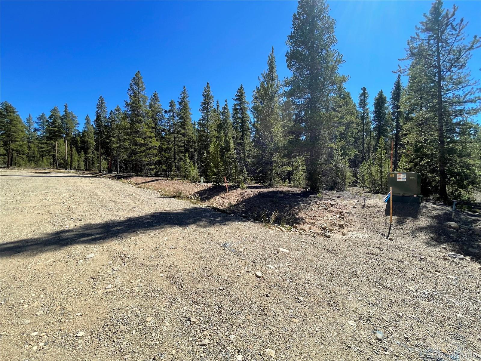 251 Virginia Avenue Leadville, CO 80461 - Photo 7 of 15 a view of a yard with trees