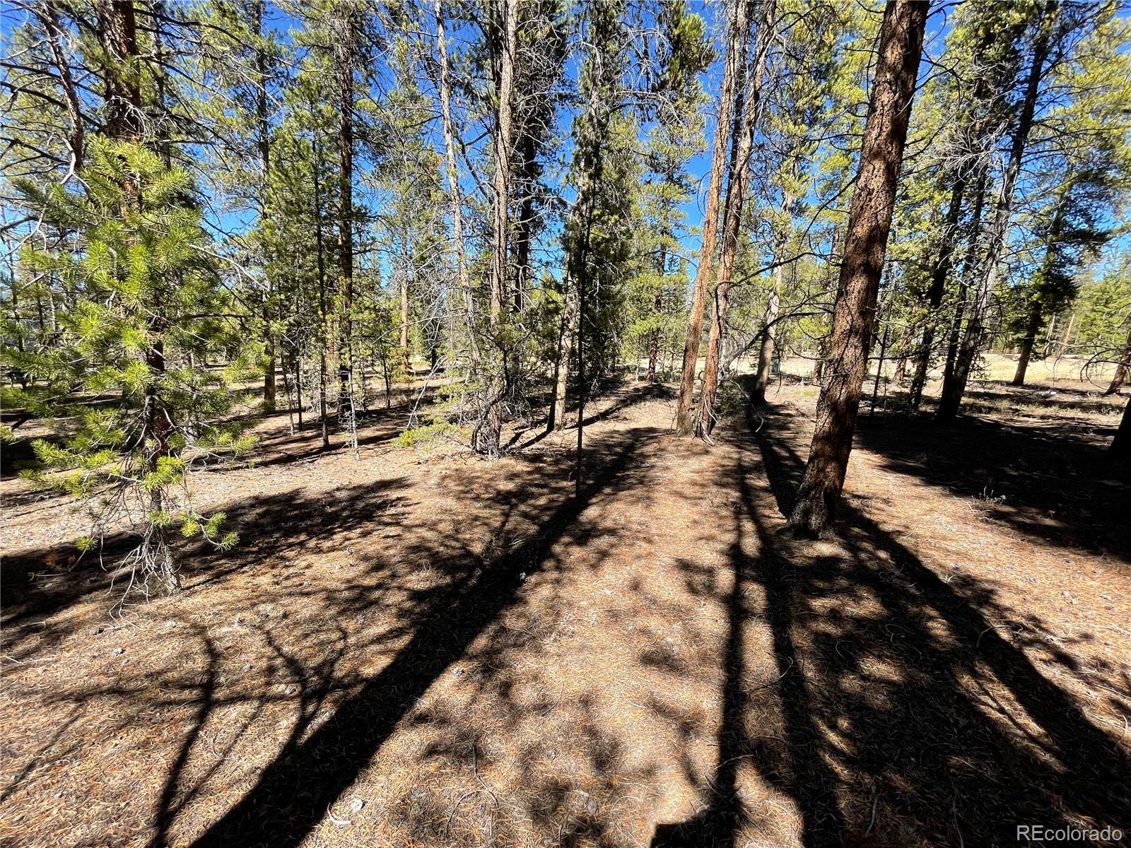 251 Virginia Avenue Leadville, CO 80461 - Photo 9 of 15 a view of a yard with plants and trees