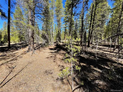 a view of a park with large trees