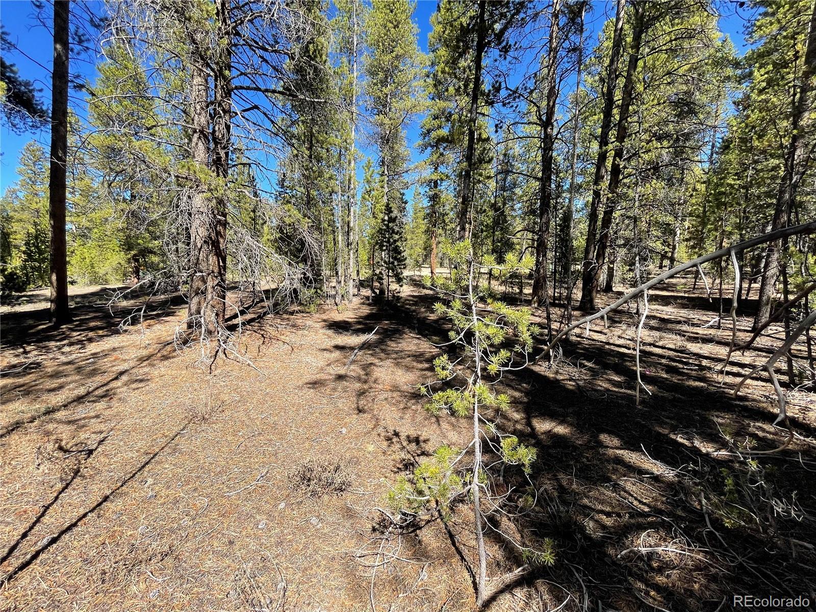 251 Virginia Avenue Leadville, CO 80461 - Photo 10 of 15