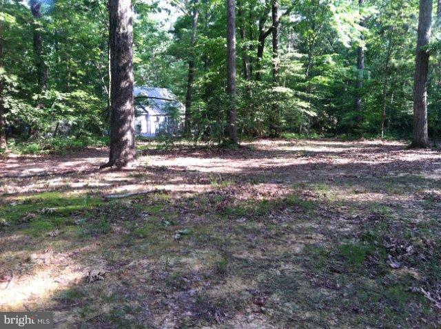 20547 Chingville Road Leonardtown, MD 20650 - Photo 22 of 30 Exterior (General)