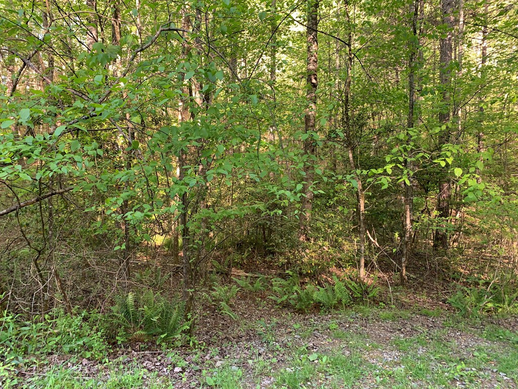 4 Hunter Vly Road Murphy, NC 28906 - Photo 14 of 16