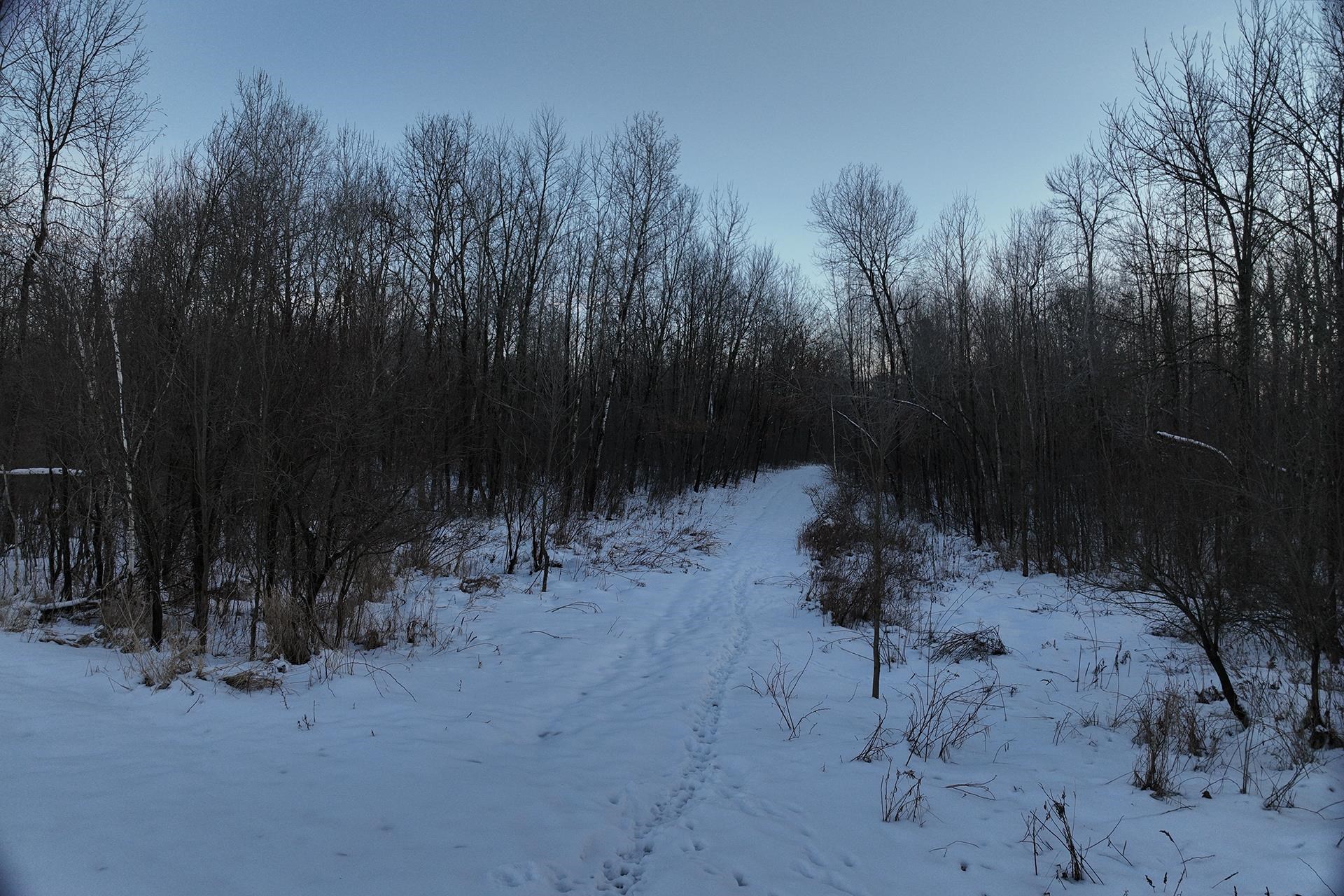 65.32-acres Bobwhite Road Neillsville, WI 54456 - Photo 17 of 26