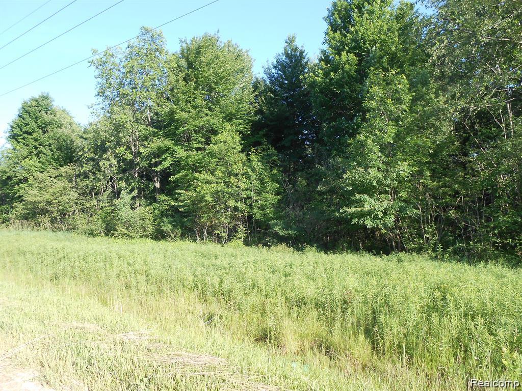 0 Washington Street Sandusky, MI 48471 - Photo 1 of 1