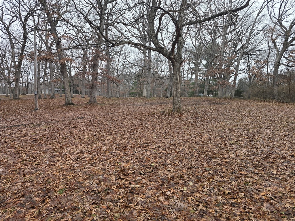 3940 Graces Lane Decatur, IL 62521 - Photo 3 of 7
