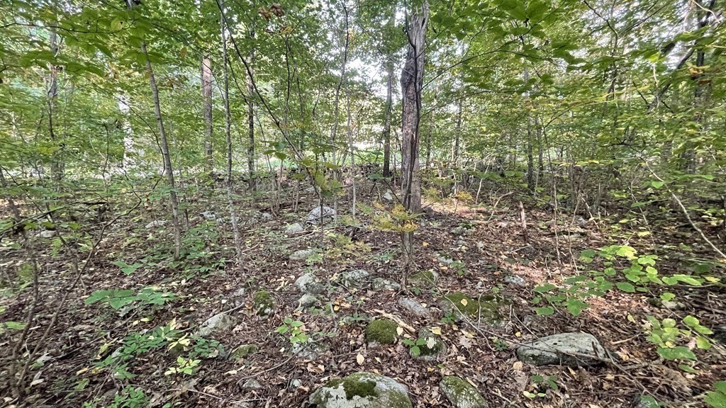 Lot 2 Thompson Pond Road Spencer, MA 01562 - Photo 5 of 14 Gallery Image 5