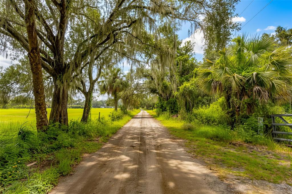 11720 Darsey Road Parrish, FL 34219 - Photo 45 of 60 a view of back yard