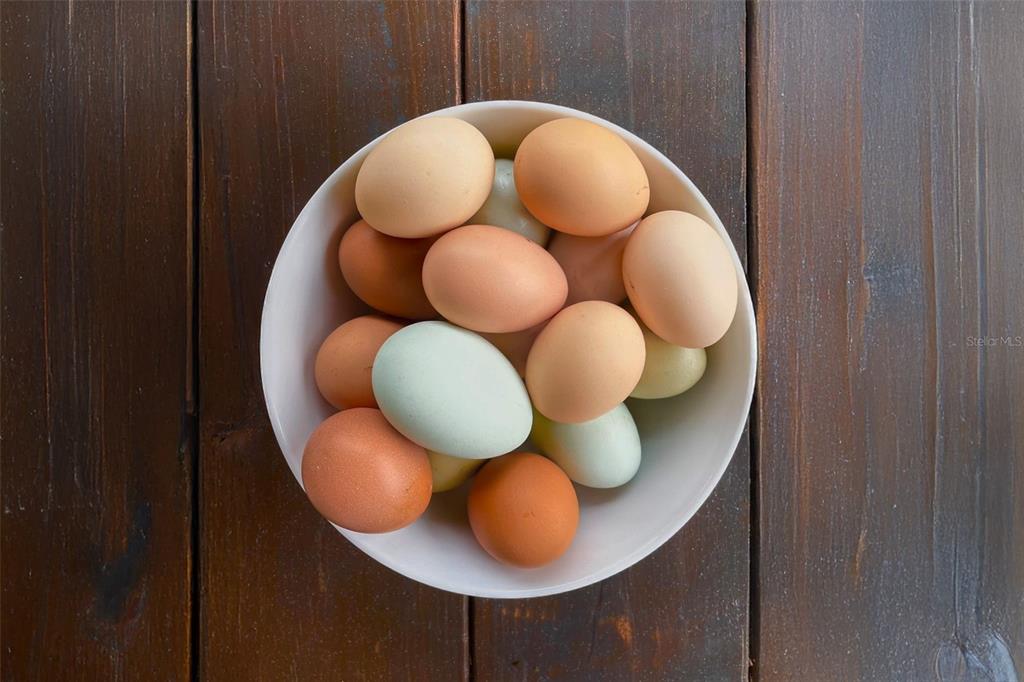 11720 Darsey Road Parrish, FL 34219 - Photo 58 of 60 a view of wooden floor in a room
