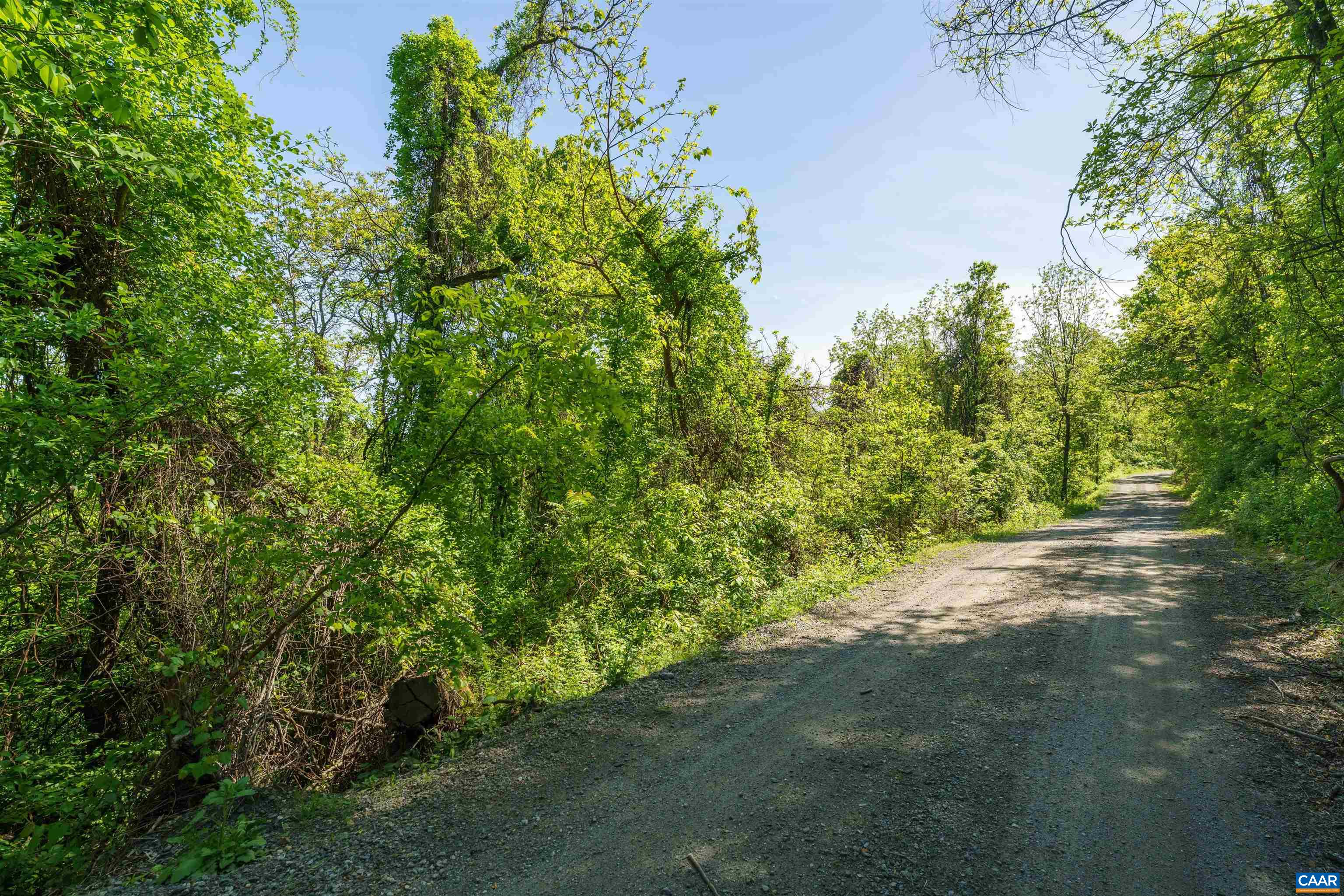 Lot E Brokenback Mountain Road Dyke, VA 22935 - Photo 2 of 8