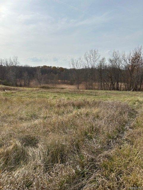 8438 Jordan Road Grand Blanc, MI 48439 - Photo 27 of 32