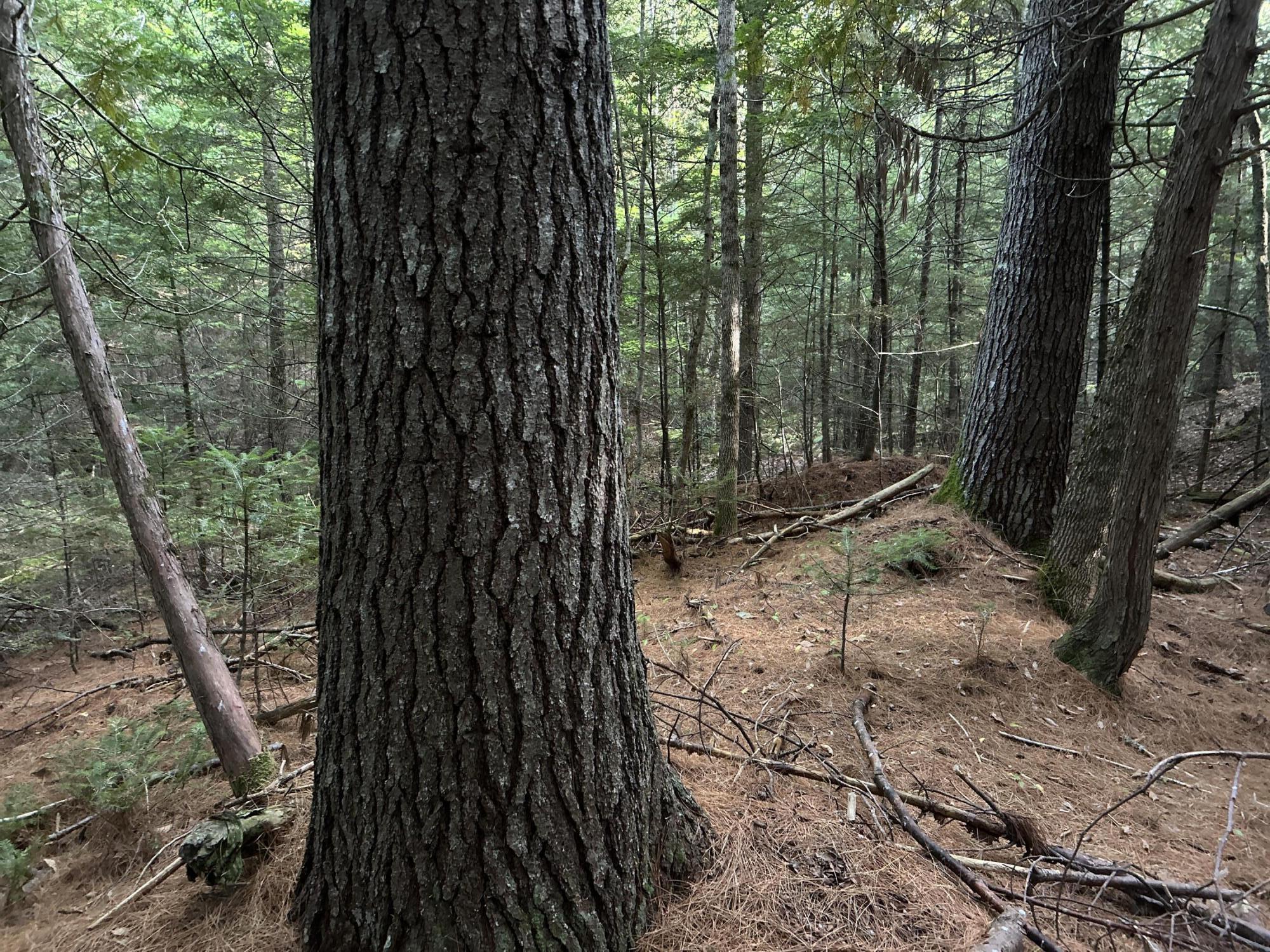 M4-l14 Village Road Jackson, ME 04921 - Photo 21 of 37