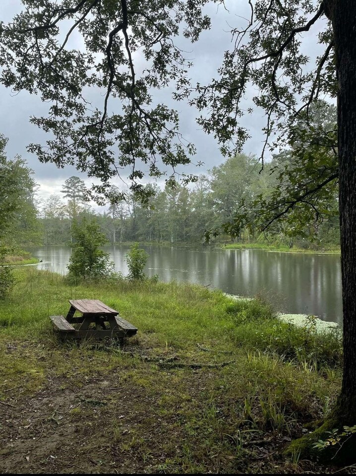 1910 Browns Chapel Road Union Point, GA 30669 - Photo 1 of 1 a lake view with a bench