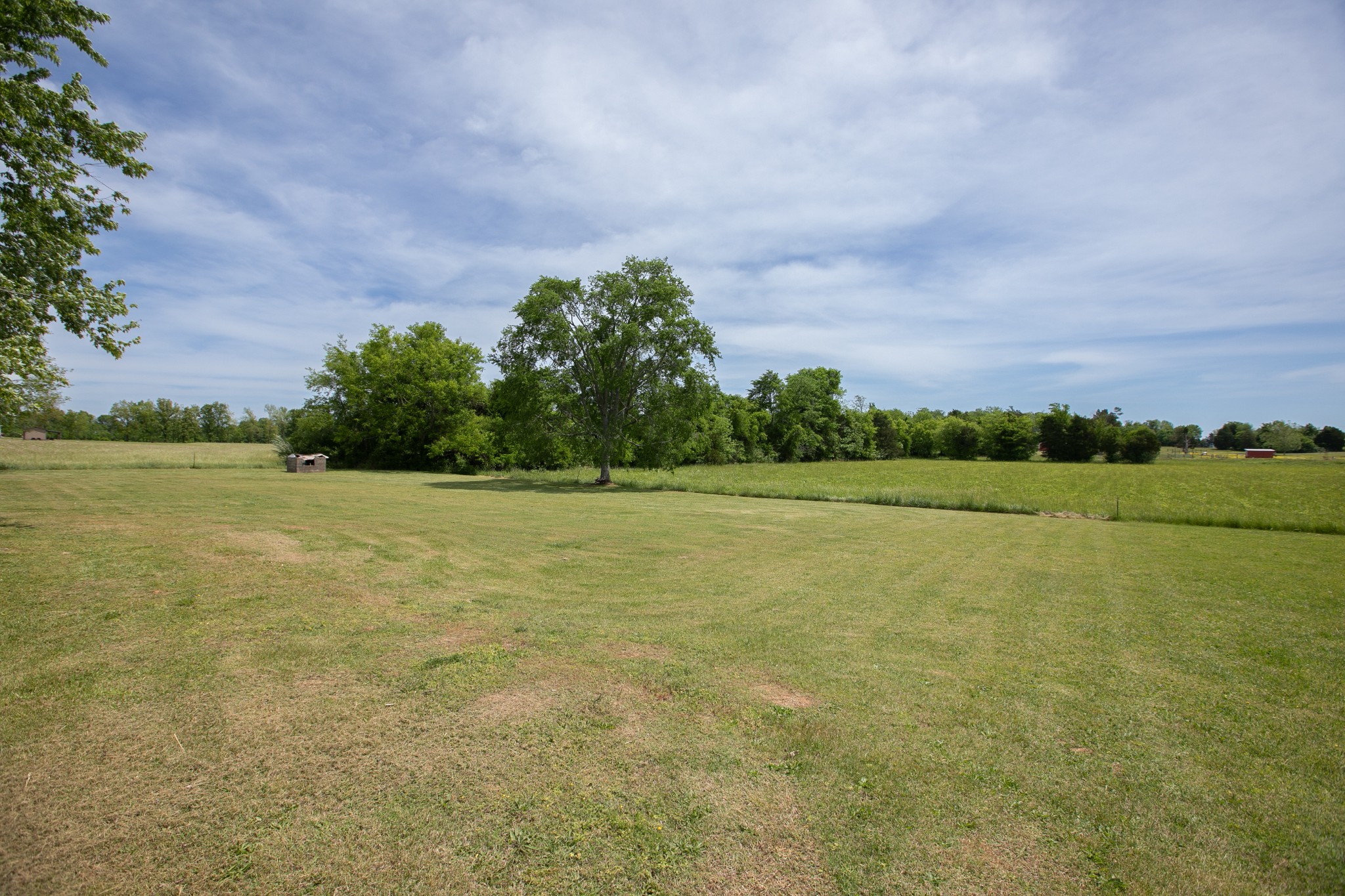 12609 Threet Road Bell Buckle, TN 37020 - Photo 6 of 20 Gallery Image 6