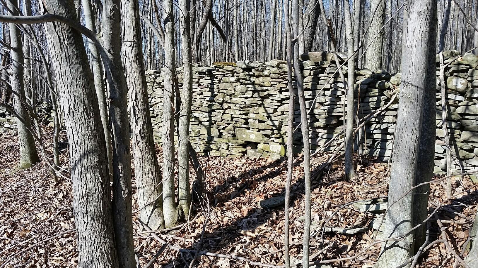 1297 Red Abbott Road Union Dale, PA 18470 - Photo 7 of 11